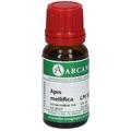Apis Mellifica LM 12 Dilution 10 ml