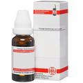 Dolichos Pruriens D 4 Dilution 20 ml