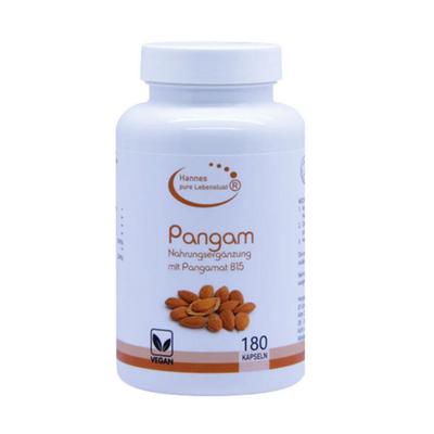 Pangam Vitamin B15 Vegi Kapseln 180 St Image