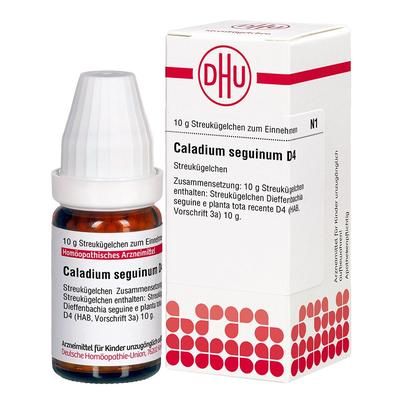 Caladium seguinum D 4 Globuli 10 g Image