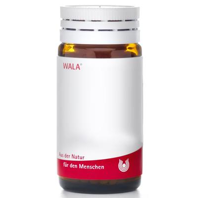 Thuja E Summitatibus D 12 Globuli 20 g Image