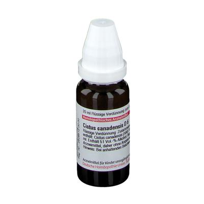 Cistus Canadensis D 6 Dilution 20 ml Image