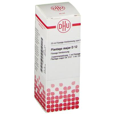 Plantago Major D 12 Dilution 20 ml Image