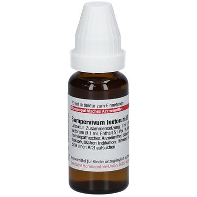 Sempervivum tectorum Urtinktur 20 ml Dilution Image
