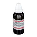 Anacardium D 4 Dilution 50 ml