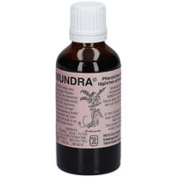 Mundra pflanzliches Mundpflegeprodukt Lösung 50 ml