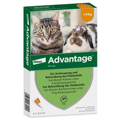 Advantage 40 mg Lsg.f.kl.Katzen/kl.Zierkaninchen 4x0,4 ml Lösung