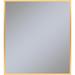 Robern Profiles Modern & Contemporary Bathroom/Vanity Mirror, Metal in Yellow | 39.25 H x 35.125 W x 0.75 D in | Wayfair PM3640T82