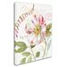 Ophelia & Co. Rainbow Seeds Botanical II by Lisa Audit - GWrapped Canvas Graphic Art Print Canvas in Pink/White | 24 H x 18 W x 2 D in | Wayfair