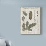 Millwood Pines 'Woodland Chart IV' Acrylic Painting Print on Wrapped Canvas Metal in Gray/Green | 32 H x 24 W x 2 D in | Wayfair