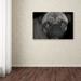 Winston Porter 'Pug' Photographic Print on Wrapped Canvas in Black/Gray | 16 H x 24 W x 2 D in | Wayfair 9D0EB8E624644D5C8451AB1762E744E4