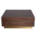 Nuevo Jonas Coffee Table Wood in Brown | 14 H x 36 W x 36 D in | Wayfair HGYU187