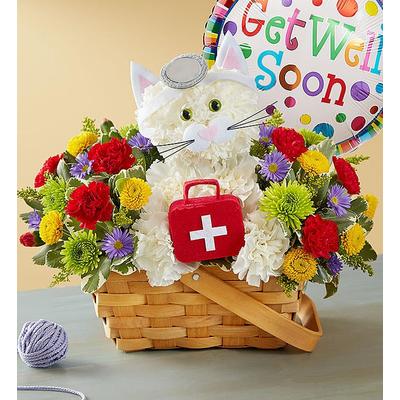 1-800-Flowers Everyday Gift Delivery Cure - All Kitty W/ Balloon