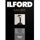 ILFORD GALERIE Metallic Gloss 260 gsm A4 - 210 mm x 297 mm 100 Blatt