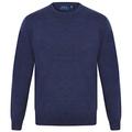 Ralph Lauren Men's Merino Wool Crew Neck Jumper (XL, Blue)