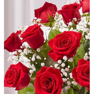1-800-Flowers Flower Delivery Red Roses Gift Club 12 Months