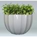 Allied Molded Products Miami Composite Pot Planter Composite in Gray/White | 36 H x 60 W x 60 D in | Wayfair 1SU-6036-PD-32