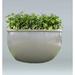 Allied Molded Products Orlando Composite Pot Planter Composite in Green | 24 H x 72 W x 72 D in | Wayfair ORL-7224-PD-28