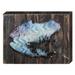 Designocracy Tree Frog Art on Board Wall Décor in Blue/Brown | 12 H x 18 W x 1.5 D in | Wayfair 98541-182