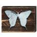 Designocracy Butterfly Art on Reclaimed Wooden Board Wall Décor in Brown/Gray | 6 H x 8 W x 1.5 D in | Wayfair 98413-08