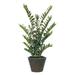 Bayou Breeze Green Zamia Foliage Plant in Planter Silk/Metal in Brown | 54 H x 22 W x 22 D in | Wayfair BBZE1565 39051136