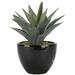 Bay Isle Home™ Aloe Floor Succulent Plant in Planter Ceramic/Plastic | 11.5 H x 8 W x 8 D in | Wayfair BYIL1250 41990545