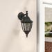 Charlton Home® Slusser 14.25" H Outdoor Wall Lantern Glass/Metal in Black | 14.25 H x 6.5 W x 9 D in | Wayfair 61AC30890F1E4413852420976F78E7DF