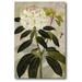 Courtside Market 'Rhododendron I' Painting Print on Wrapped Canvas in Green | 18 H x 12 W x 1.5 D in | Wayfair WEB-SC320