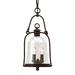 Darby Home Co Theodore Bronze Mains Only Outdoor Hanging Lantern Glass/Metal in Brown | 18 H x 8.75 W x 8.75 D in | Wayfair DBHM6282 42740549