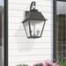 Lark Manor™ Arnetria 2 - Bulb 16.5" H Seeded Glass Outdoor Wall Lantern Brass/Glass/Metal in Black | 16.5 H x 9 W x 10 D in | Wayfair