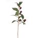 Distinctive Designs DIY Flowering Olive Branch, Synthetic | 31 H x 4 W in | Wayfair DW-1534-RDBG