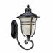 Fleur De Lis Living Berryhill 1 - Bulb Outdoor Wall Lantern Glass/Metal in Black | 21.25 H x 11 W x 13.75 D in | Wayfair