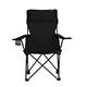 Arlmont & Co. Halie Folding Camping Chair Metal in Black | 58 H x 40 W x 32 D in | Wayfair FRPK1797 43470372