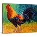 August Grove® Mr Big Rooster by Marion Rose - Wrapped Canvas Print Canvas | 24 H x 30 W x 1.5 D in | Wayfair D0DAC8BD00844D8E8D6D08754840A80B