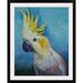 Bay Isle Home™ Wireman Cockatoo' by Michael Creese Painting Print in Blue/White | 16 H x 12 W x 1 D in | Wayfair 64D59194398C4D30BE4A58A09614F80A