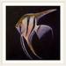 Bay Isle Home™ Wireman Angelfish' by Michael Creese Painting Print | 28 H x 28 W x 1 D in | Wayfair AC43BDD636B54832B4BD40D4D6512DC2