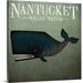 Great Big Canvas 'Barnacle Whale Nantucket' by Ryan Fowler Vintage Advertisement | 20 H x 20 W x 1.5 D in | Wayfair 2358722_1_20x20
