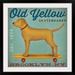 Great Big Canvas 'Golden Dog on Skateboard' by Ryan Fowler Vintage Advertisement | 28 H x 28 W x 1 D in | Wayfair 2174637_15_20x20