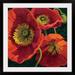 Winston Porter 'Red Poppy Trio II' by Shirley Novak Painting Print | 20 H x 20 W x 1 D in | Wayfair 8A20B15622AC45D78174ED68E6723793