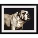 Ebern Designs 'Bulldog Spirit' by Francy Graphic Art Print Plastic | 34 H x 44 W x 1 D in | Wayfair CB4A9C918F8D428F9744B23A708BC1CD