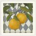 Gracie Oaks 'Fruit & Pattern IV' Megan Meagher Graphic Art Print | 20 H x 20 W x 1 D in | Wayfair 9CD363FCEE7F4238B4C7DF3AE26A941B