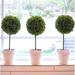 Ophelia & Co. Faux Preserved Boxwood Floor Topiary in Pot Preserved | 9 H x 3.75 W x 3.75 D in | Wayfair 0DA10B7C555547FE9B7BDB6F4CBD0AD9