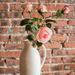 Ophelia & Co. Rustic Rose Bloom Stem | 31 H x 4 W x 2 D in | Wayfair CEEC03903E7F4613B19E81F2CF6D20D5