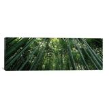 iCanvas Panoramic Arashiyama, Honshu, Japan - Wrapped Canvas Photographic Print Canvas in Black/Green | 16 H x 48 W x 1.5 D in | Wayfair