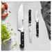 ZWILLING J.A. Henckels Zwilling Pro 3-piece Starter Knife Set High Carbon Stainless Steel in Black/Gray | Wayfair 38430-008