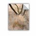 ArtWall Desert Grasses by Linda Parker Photographic Print Removable Wall Decal Canvas/Fabric in White | 48 H x 36 W in | Wayfair 0par017a3648p