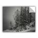 ArtWall 10,000 Feet of Silence by Mark Ross Photographic Print Removable Wall Decal Canvas/Fabric in White | 36 H x 48 W in | Wayfair 0ros001a3648p