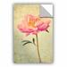 Winston Porter Judy Stalus Coral Peony 2 Removable Wall Decal Vinyl | 24" H x 16" W x 0.1" D | Wayfair 1AED935E8652437AB03CFED900CD50B8
