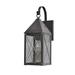 Longshore Tides Michaela 1-Light Outdoor Wall Lantern Brass | 16.75 H x 5.75 W x 8.75 D in | Wayfair 6F1B04E5B174431891CD57360B7E5B22