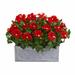 Alcott Hill® Hibiscus Floral Arrangement in Planter Polyester/Faux Silk/Plastic/Fabric in Red | 22 H x 28 W x 12 D in | Wayfair